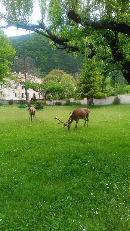 Appartamenti De Sanctis Villetta Barrea Buitenkant foto