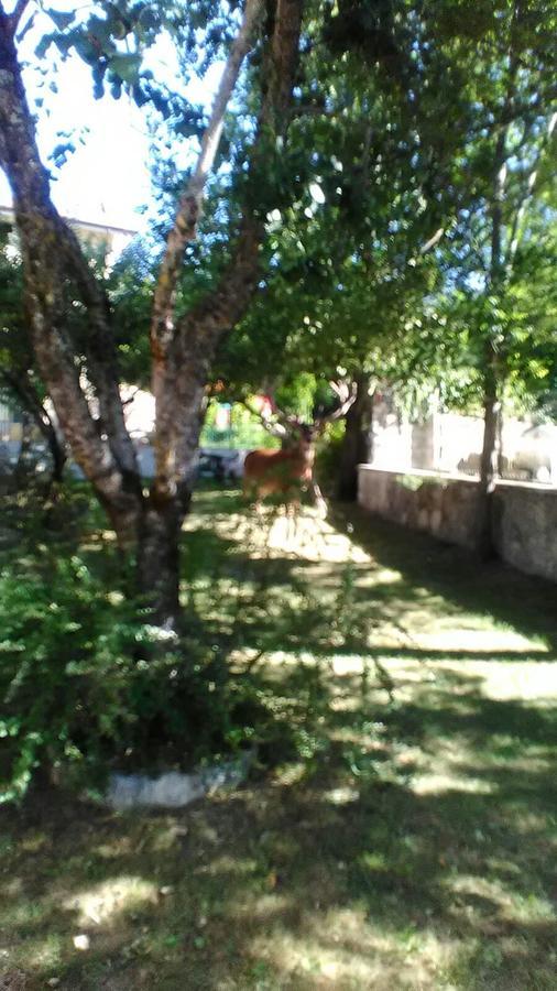 Appartamenti De Sanctis Villetta Barrea Buitenkant foto